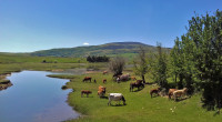 Lanchares - Embalse del Ebro